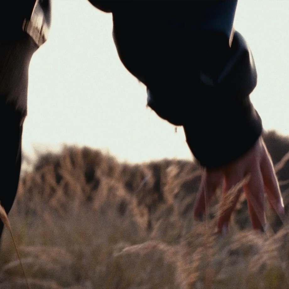 The Fog Between Us